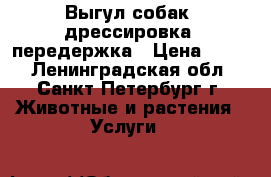 Выгул собак, дрессировка, передержка › Цена ­ 290 - Ленинградская обл., Санкт-Петербург г. Животные и растения » Услуги   